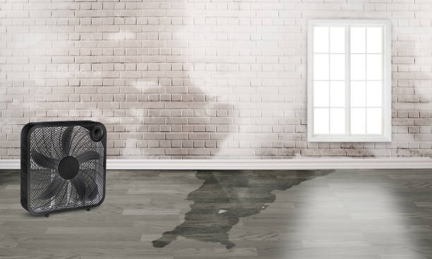 Best Commercial water damage restoration  in Marlinton, WV