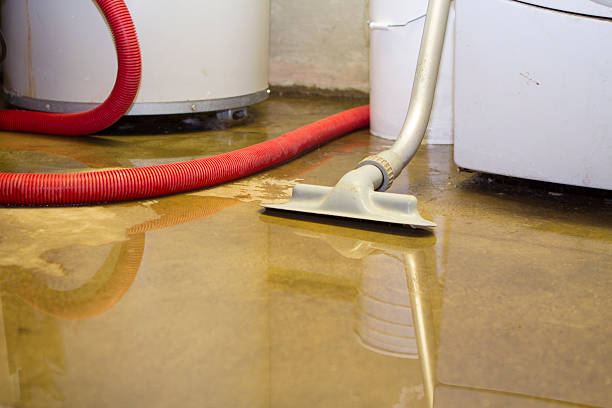  Marlinton, WV Water damage restoration Pros