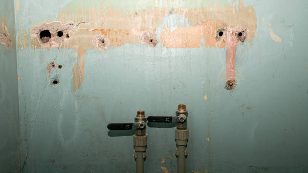 Best Local water damage restoration  in Marlinton, WV