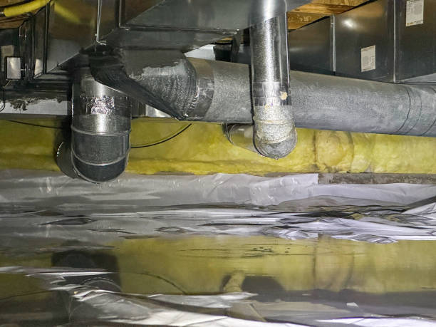 Best Professional water damage repair  in Marlinton, WV