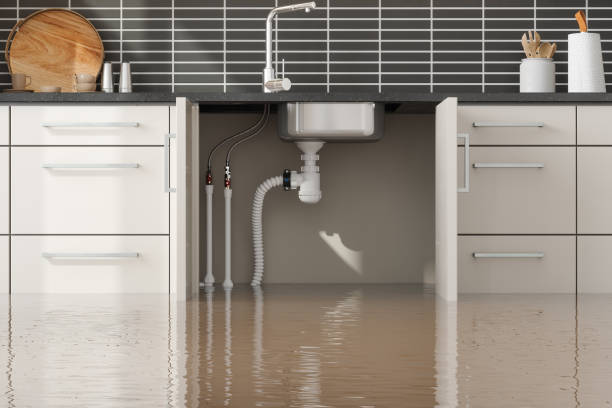 Professional Water damage restoration in WV