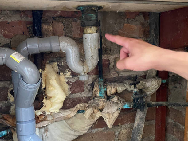 Best Fire Damage Restoration  in Marlinton, WV