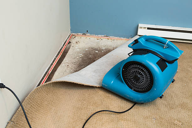 Sewage cleanup and water damage restoration in WV